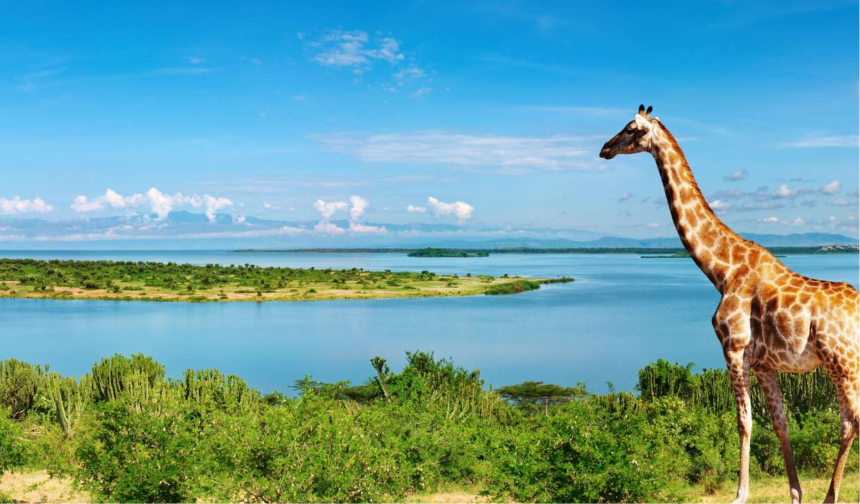 The River Nile: A Marvelous Natural Wonder